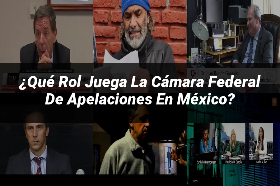 "¿Qué Rol Juega la Cámara Federal de Apelaciones en México?"
