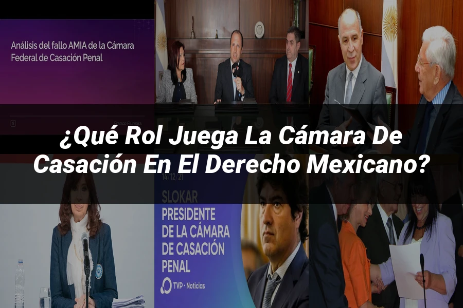 "¿Qué Rol Juega la Cámara de Casación en el Derecho Mexicano?"