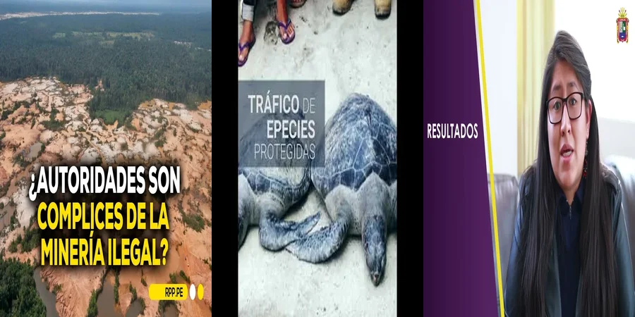 "¿Qué Rol Juega la Fiscalía Ambiental en la Protección de México?"