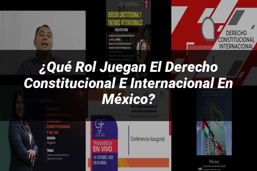 "¿Qué Rol Juegan el Derecho Constitucional e Internacional en México?"
