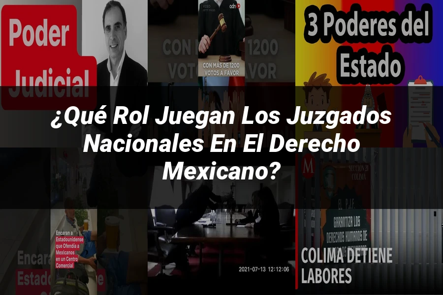 "¿Qué Rol Juegan los Juzgados Nacionales en el Derecho Mexicano?"