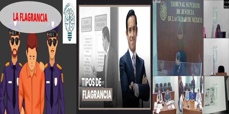 "¿Qué Rol Juegan los Juzgados de Flagrancia en la Justicia Mexicana
