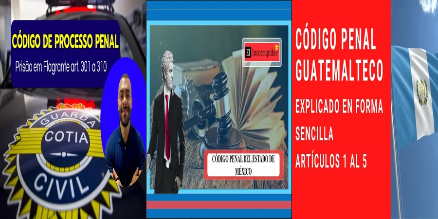 "¿Qué Sanciones Establece el Artículo 301 del Código Penal en México?"