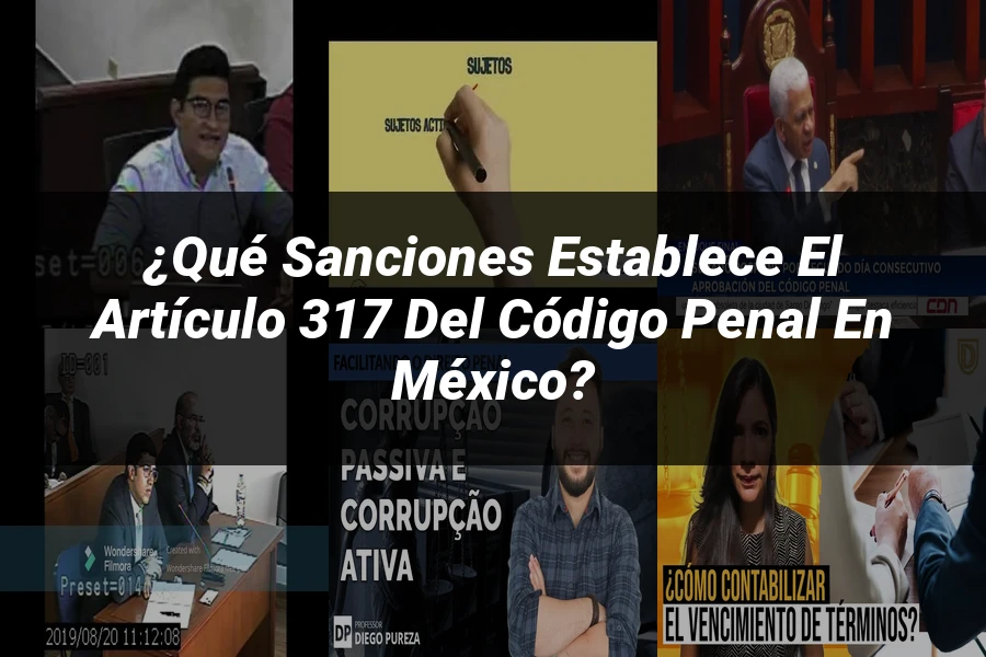 "¿Qué Sanciones Establece el Artículo 317 del Código Penal en México?"