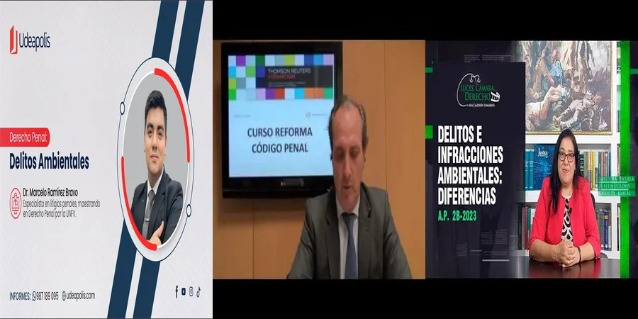 "¿Qué Sanciones Existen por Delitos Ambientales en México?"