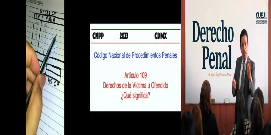 "¿Qué Sanciones Impone el Código Penal 109 en México?"