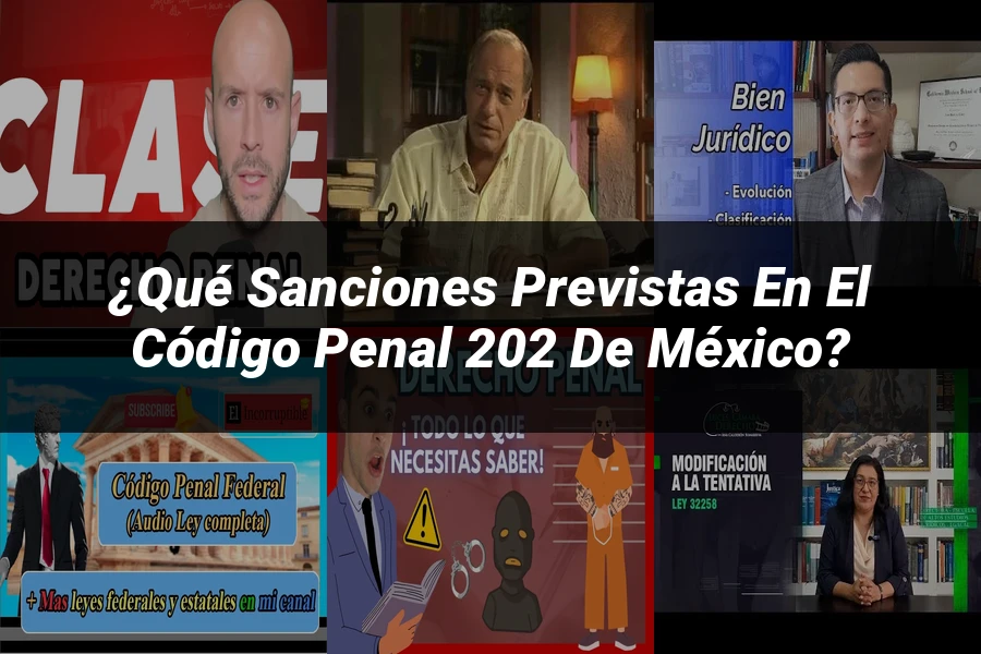 "¿Qué Sanciones Previstas en el Código Penal 202 de México?"