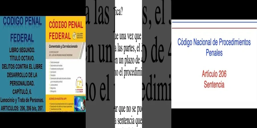 "¿Qué Sanciones Previstas en el Código Penal 206 en México?"