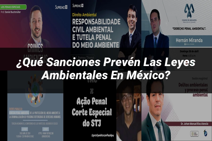 "¿Qué Sanciones Prevén las Leyes Ambientales en México?"