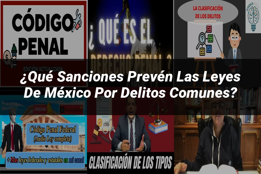 "¿Qué Sanciones Prevén las Leyes de México por Delitos Comunes?"