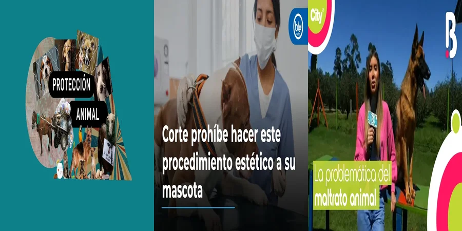 "¿Qué Sanciones Prevén las Nuevas Leyes de Crueldad Animal en México