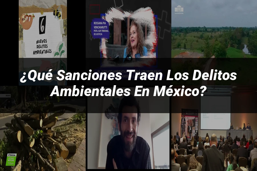 "¿Qué Sanciones Traen los Delitos Ambientales en México?"
