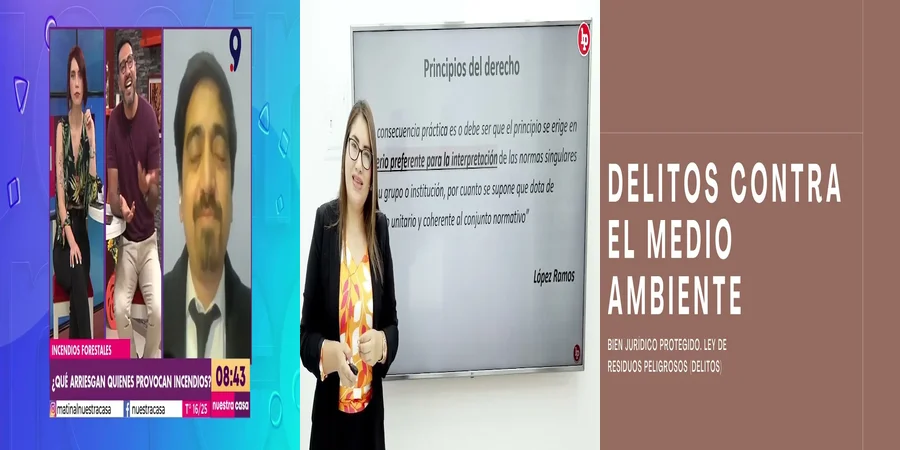 "¿Qué Sanciones Traen los Delitos Ambientales en México?"