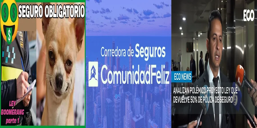 "¿Qué Seguros Son Obligatorios según la Ley en México?"