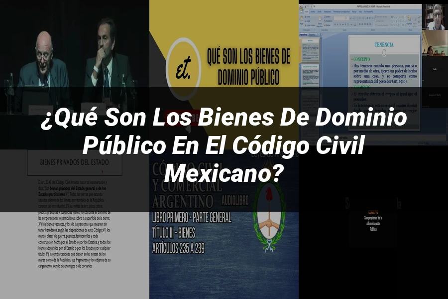"¿Qué Son los Bienes de Dominio Público en el Código Civil Mexicano?"