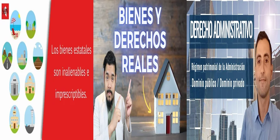 "¿Qué Son los Bienes de Dominio Público en el Código Civil Mexicano?"