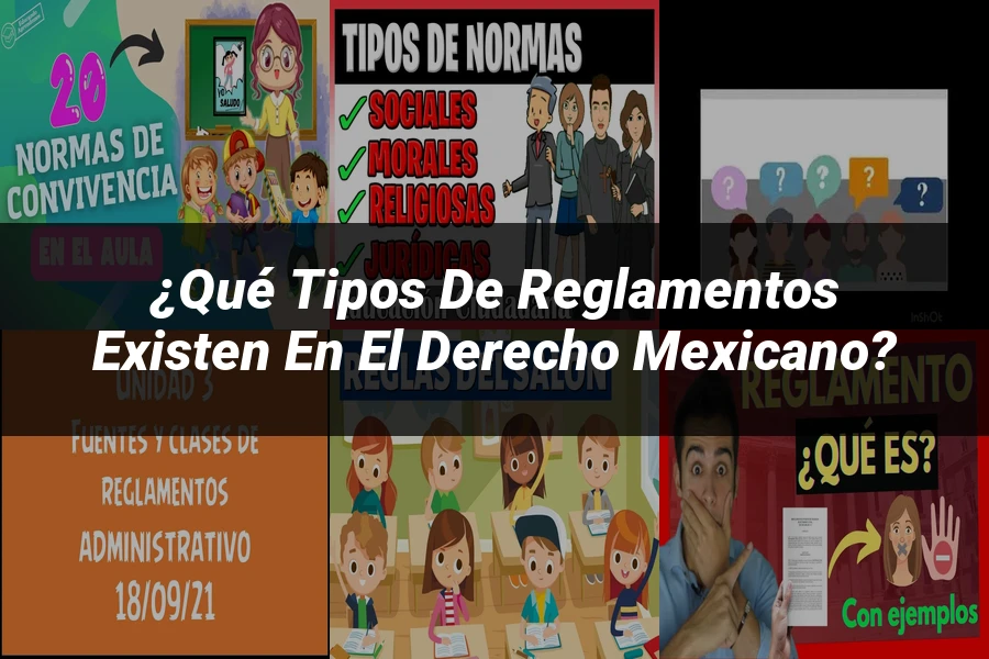 "¿Qué Tipos de Reglamentos Existen en el Derecho Mexicano?"