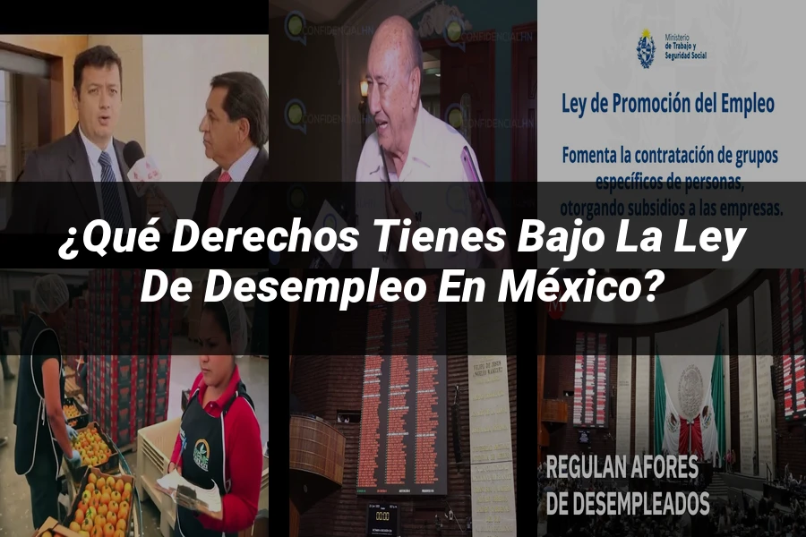 "¿Qué derechos tienes bajo la ley de desempleo en México?"