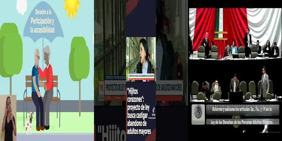 "¿Qué derechos tienes como adulto mayor en México?"