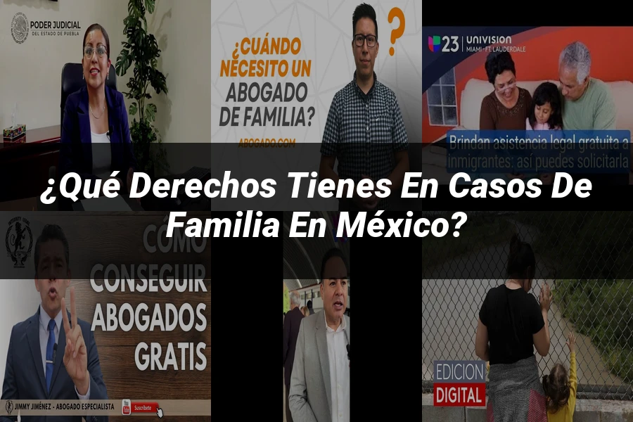 "¿Qué derechos tienes en casos de familia en México?"