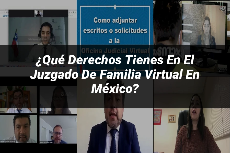 "¿Qué derechos tienes en el juzgado de familia virtual en México?"