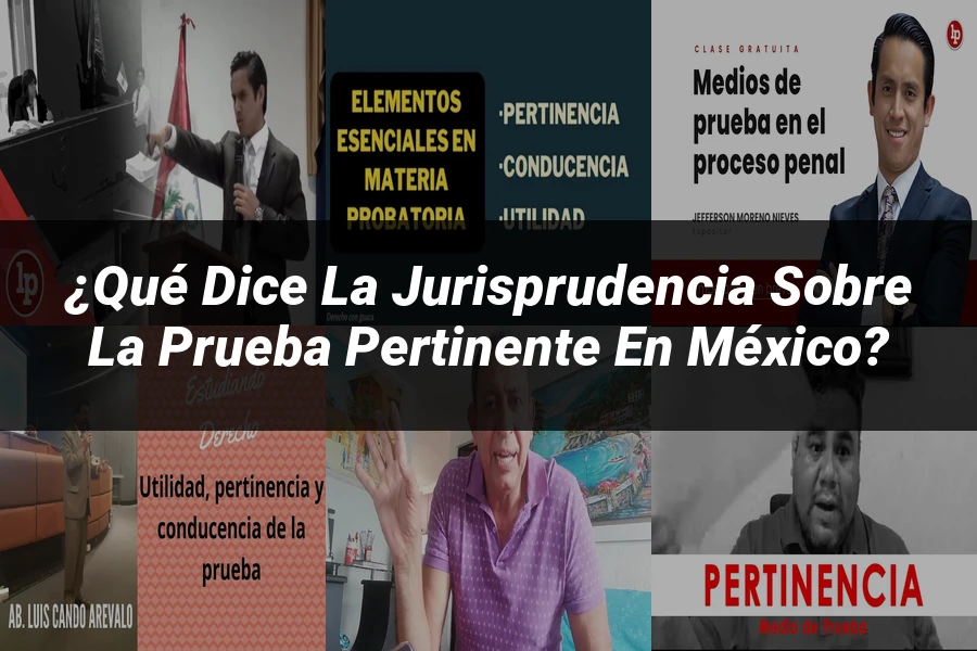 "¿Qué dice la Jurisprudencia sobre la Prueba Pertinente en México?"
