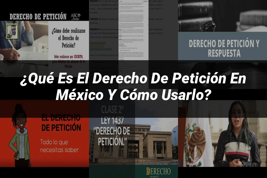 "¿Qué es el derecho de petición en México y cómo usarlo?"