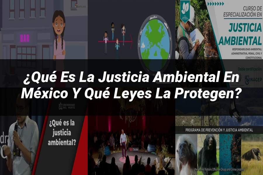 "¿Qué es la Justicia Ambiental en México y qué leyes la protegen?"