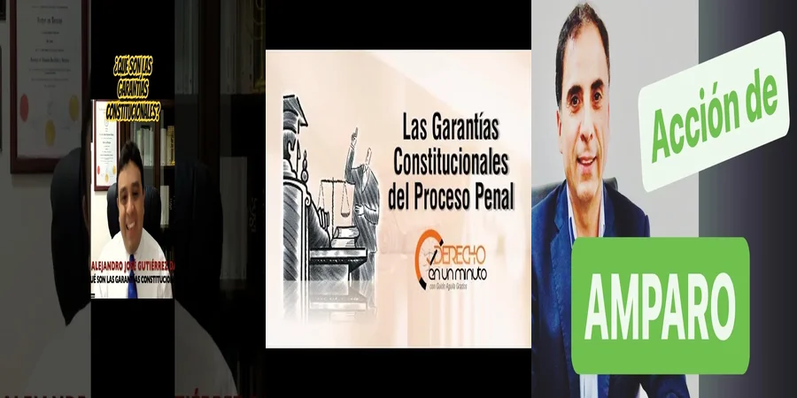"¿Qué es la garantía constitucional en el contexto legal mexicano?"