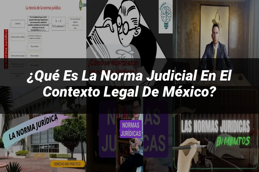 "¿Qué es la norma judicial en el contexto legal de México?"