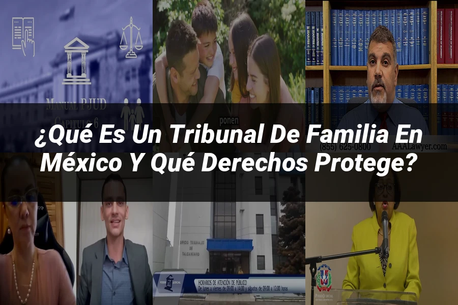 "¿Qué es un Tribunal de Familia en México y qué derechos protege?"