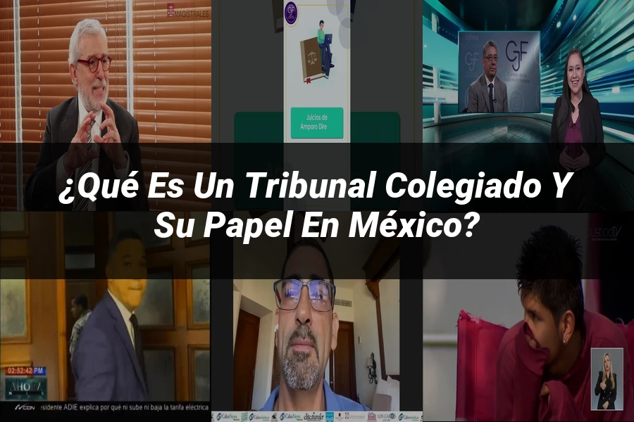 "¿Qué es un tribunal colegiado y su papel en México?"
