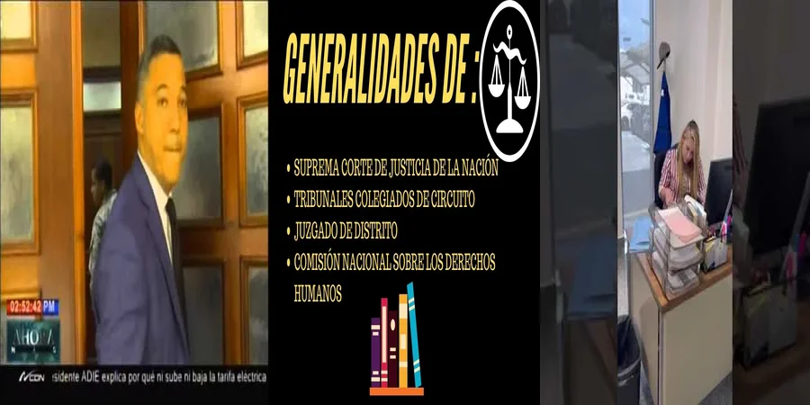 "¿Qué es un tribunal colegiado y su papel en México?"