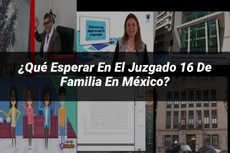 "¿Qué esperar en el Juzgado 16 de Familia en México?"