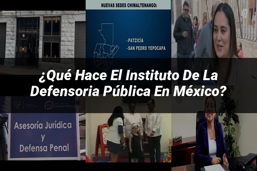 "¿Qué hace el instituto de la defensoria pública en México?"