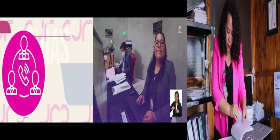 "¿Qué hace el instituto de la defensoria pública en México?"