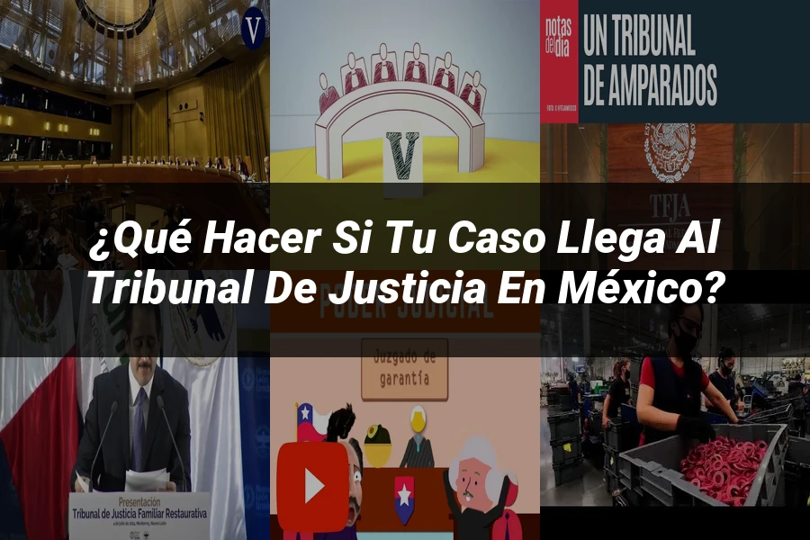 "¿Qué hacer si tu caso llega al tribunal de justicia en México?"