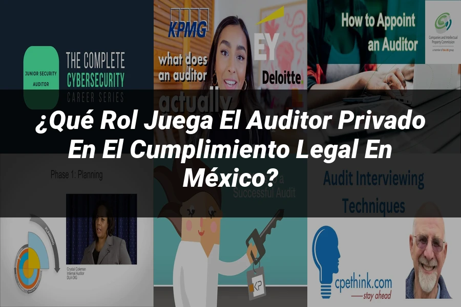 "¿Qué rol juega el auditor privado en el cumplimiento legal en México?"