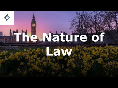 Understanding the Legal Nature of Local Ordinances: Are They Considered Laws?