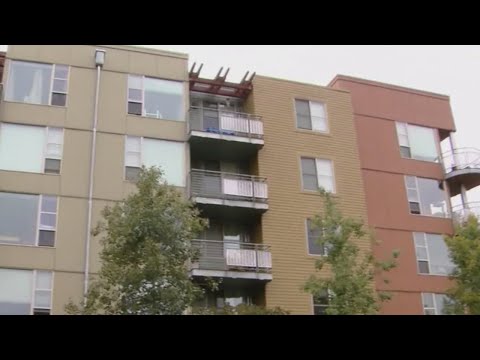 Understanding the Portland Ordinance 191311: A Comprehensive Overview