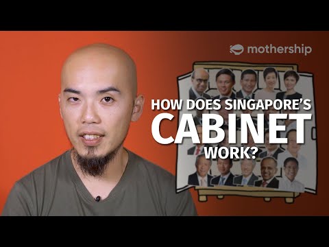 Understanding the Three Branches of Government in Singapore