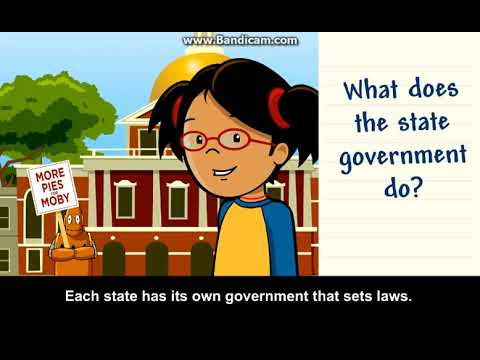 Understanding the Different Types of Local Government: A Comprehensive Overview