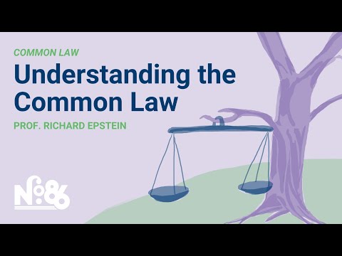 Understanding the Basics of Common Law in Singapore