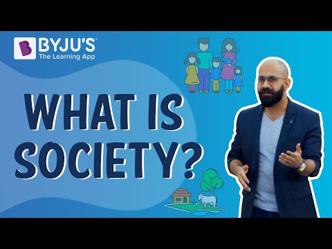 Understanding the Significance and Function of Codes in Society