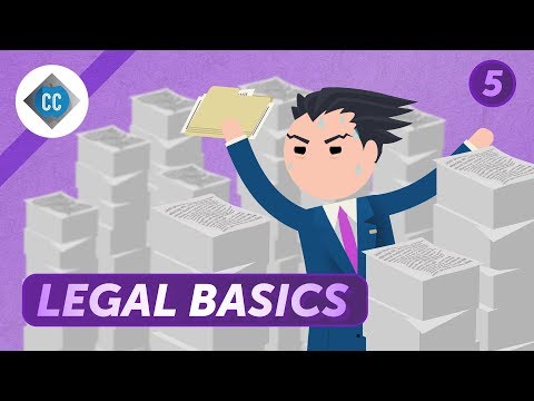 Understanding the 3 Most Common Types of Law: A Comprehensive Overview
