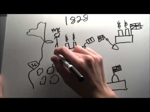 Understanding the Historical Context of South Carolina's Nullification Ordinance