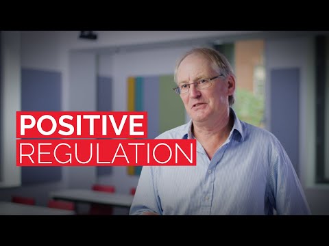 Understanding the LSE Regulatory Strategy Course: A Comprehensive Overview