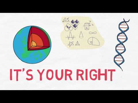 Understanding the Human Rights Record: Key Information and Implications