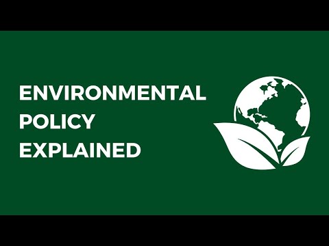 Optimal Frequency for Reviewing an Environmental Policy