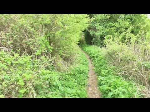 Understanding the Legal Implications of Blocking a Public Footpath